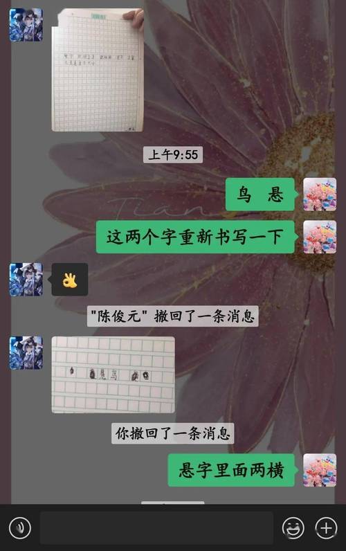 线下线上无缝衔接 智教乐学接续成长