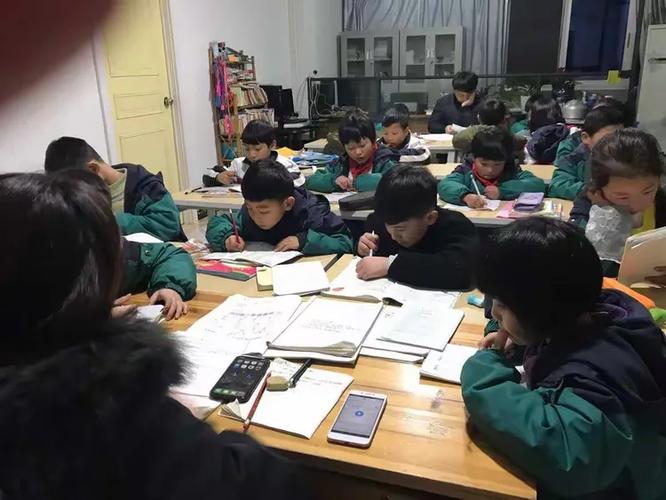 智学乐学培训暑假班开始招生啦!